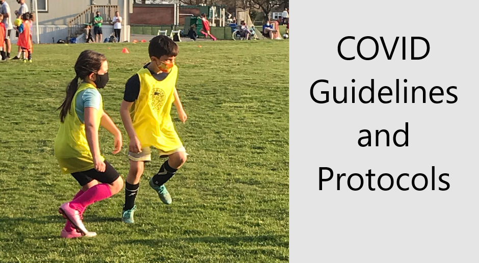COVID Guidelines and Protocols